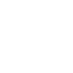 Schritt #3: Sorgfältiger Transport